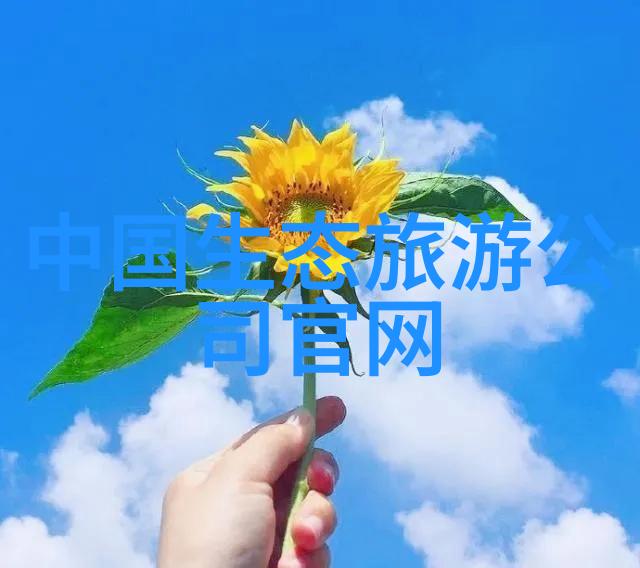 安全行车守则怎样利用汽车仪表灯来提高驾驶安全性