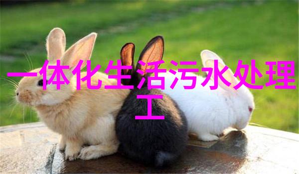 节约能源的方法我的家里也能省电不少