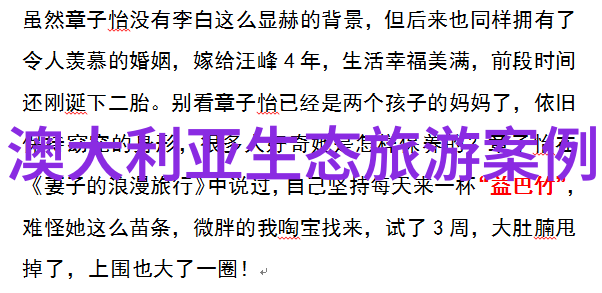 从18岁到19岁的日本梦青春篇章