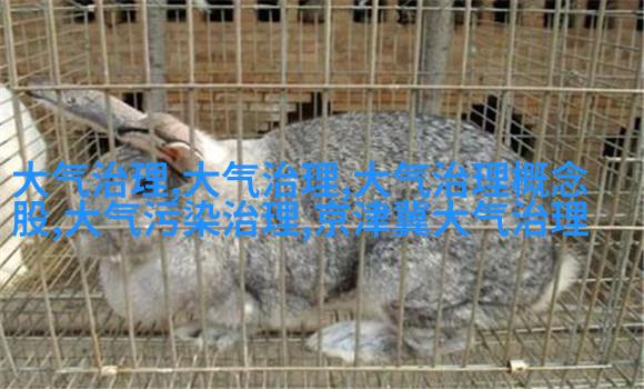 王女士与孩子们骑自行车上学