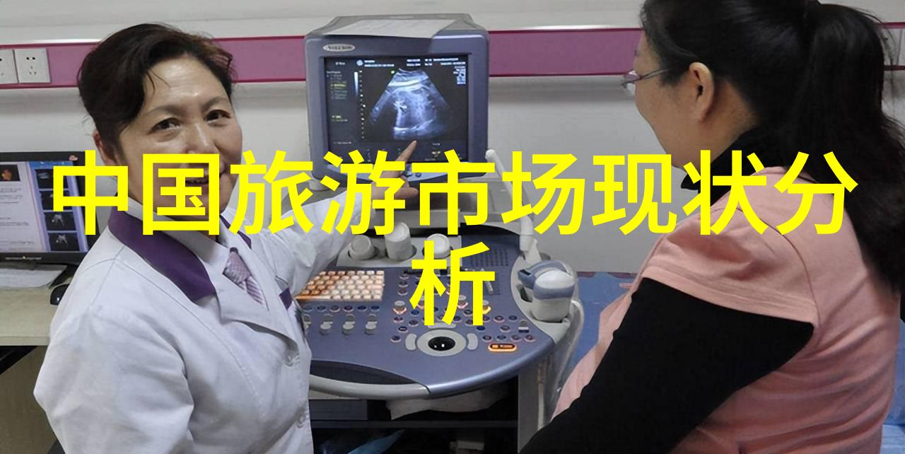 乌龟探索扇贝海域的奇遇