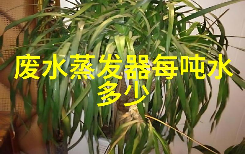农村排水系统改进方案创新技术与可持续发展的结合