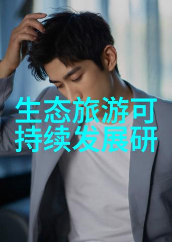 如何有效实施生态文明建设策略