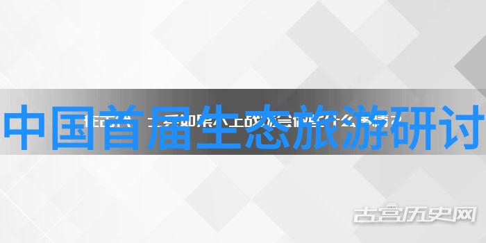 研究性学习报告探索与实践的融合路径