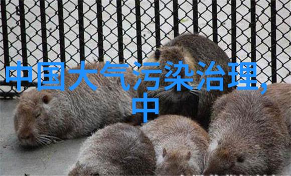 守护地球家园绿色环保的责任与行动