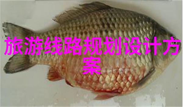 活力地球如何以青春勃发的心情展现綠藍交融