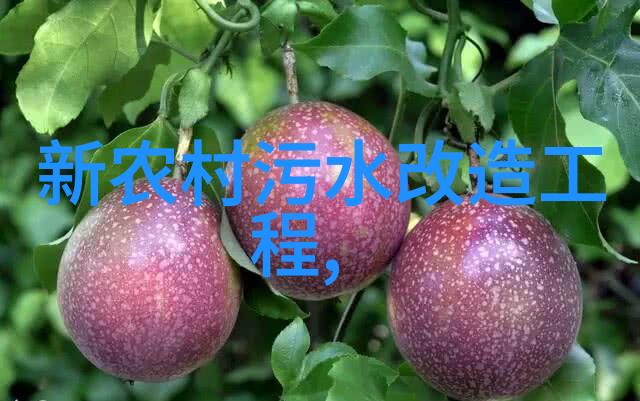 新兴科技如何改善泥浆净化设备效率