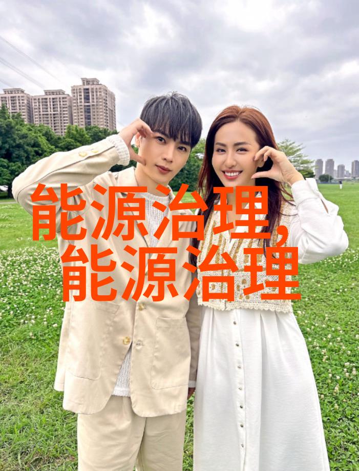 pH计