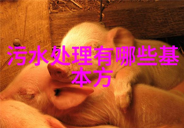 如何将废弃的矿井转化为生态旅游景点