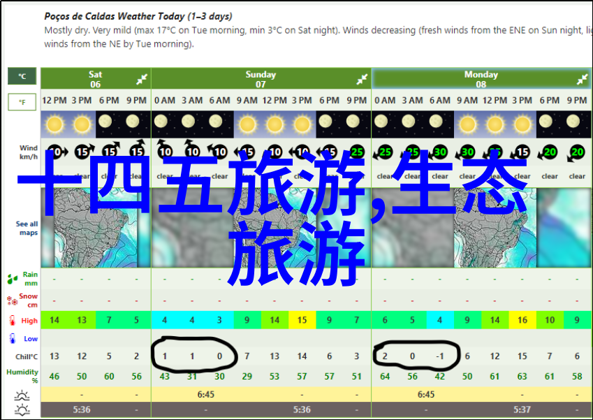 宠樱温柔的樱花守护者
