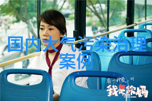 空气净化新纪元高效压缩空气净化设备的应用与未来发展方向