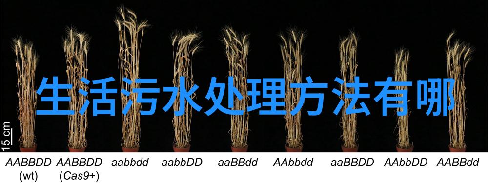 焊烟净化设备清新工作环境的关键技术与解决方案