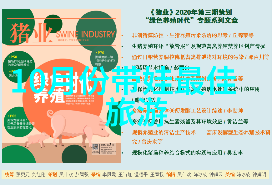 文明健康绿色环保 - 绿色生活如何在日常中实践文明健康与环保