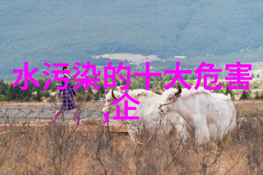 生活污水处理工艺流程从收集到再生环保的新篇章