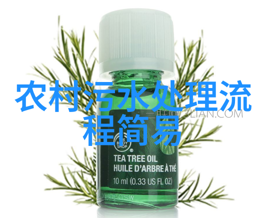 生态公益项目融入生态旅游发展路径选择