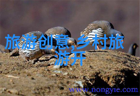 工业级过滤设备图片高效工业用过滤器系统