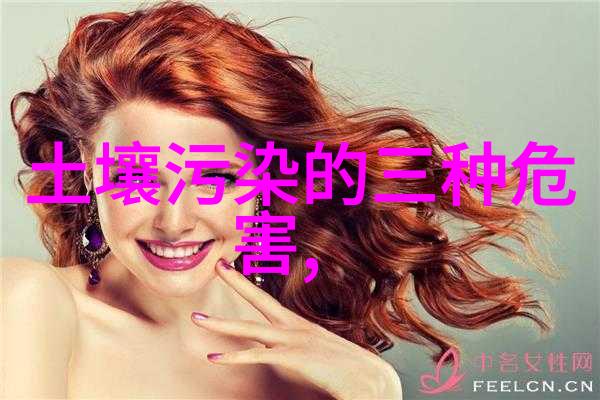 主题-巴哈马的蓝色洞穴生态旅游成功案例与其背后的关键因素