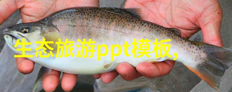 绿色文化作文500字我的绿色生活从一滴水到万里长征