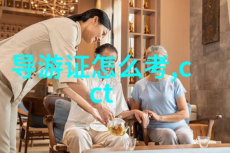 能源治理-绿色低碳转型与可持续发展战略
