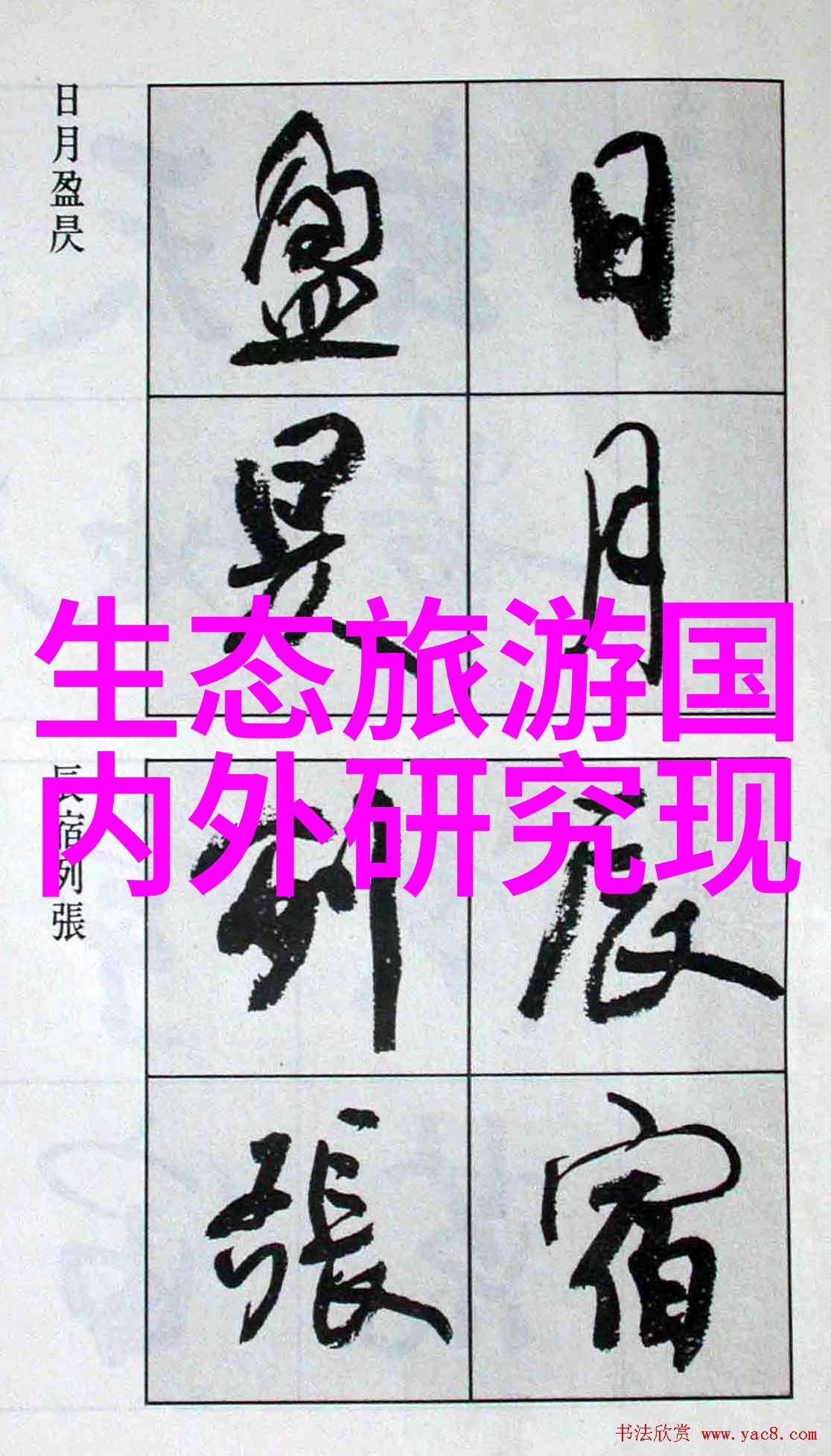 仙踪林Xzlcompany limited-探秘仙踪林Xzlcompany limited数字化革命