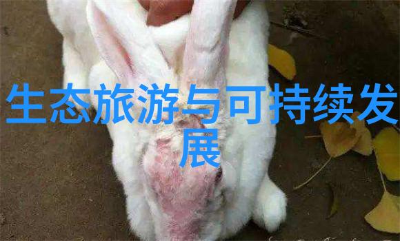 黑暗滴答工业废水的秘密流动