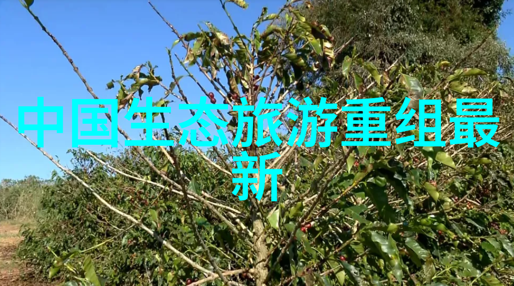 清澈源头城镇污水排放标准一级A的双面人生