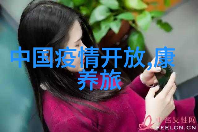 流线型设备配列图解析