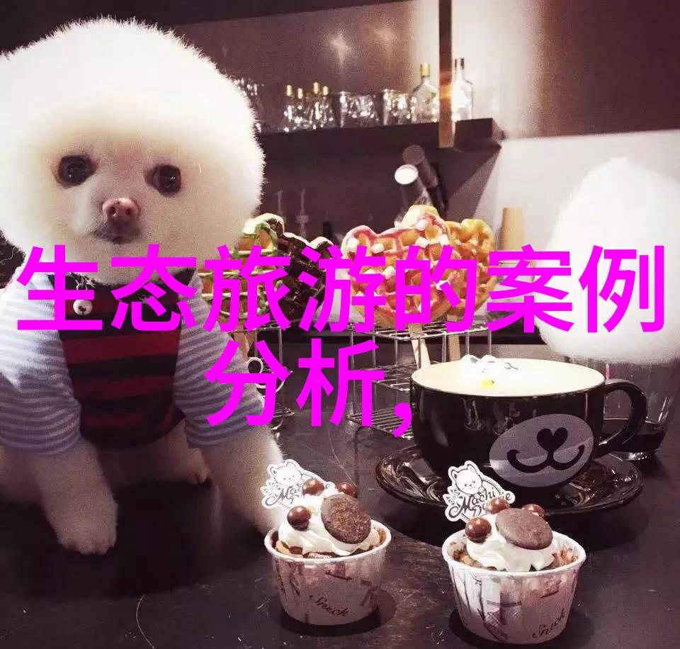 水资源枯竭城市扩张背后的水务问题