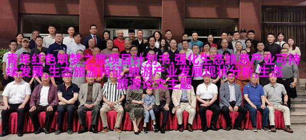 pH计
