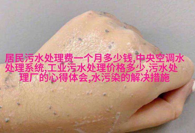 浓缩旋转蒸发器