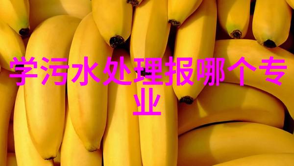 在新能源汽车普及过程中面临哪些主要挑战和机遇