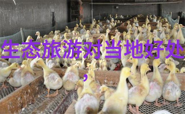 自然探索亲近大自然揭秘地球上五大生态宝库