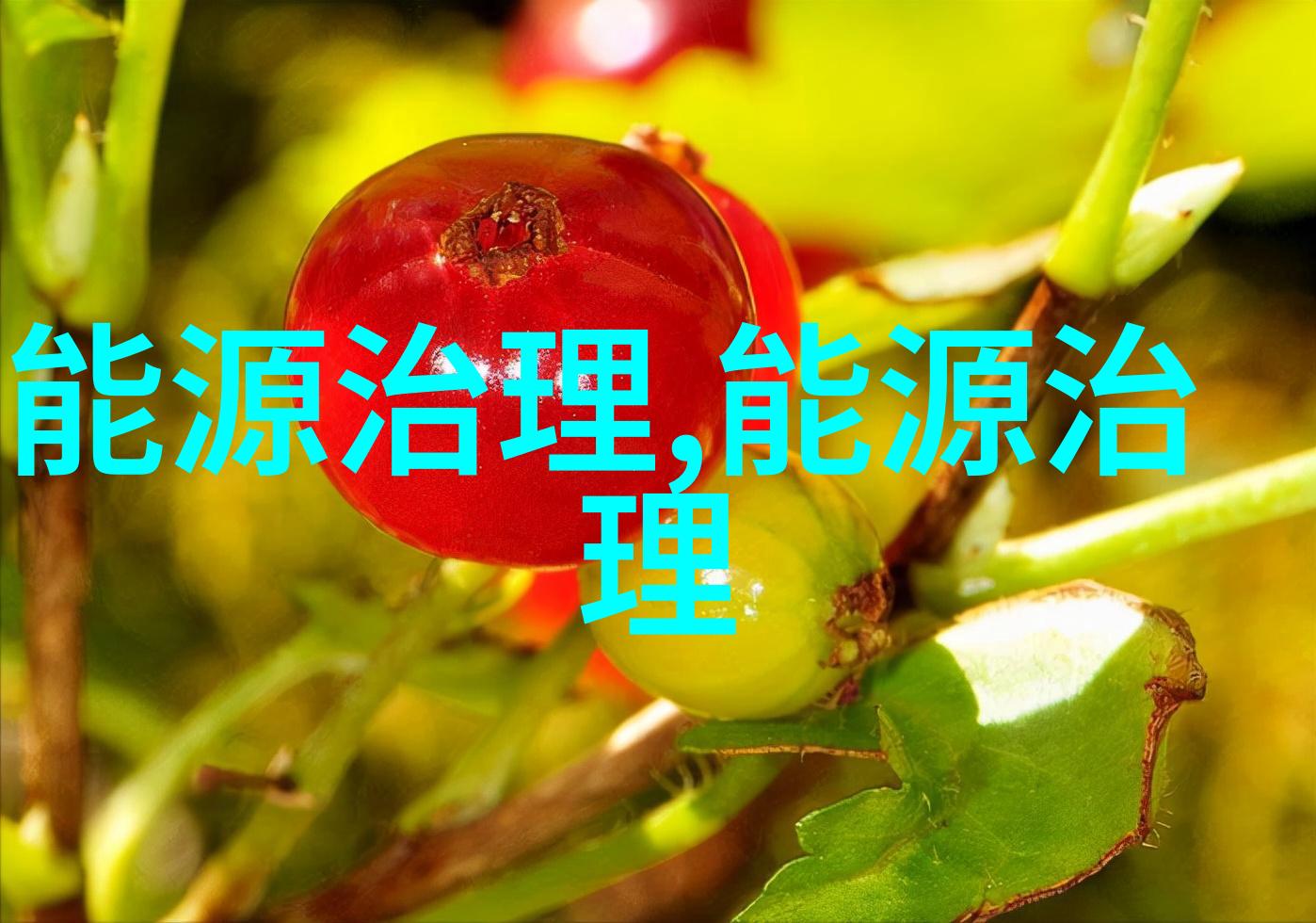 复古乡村