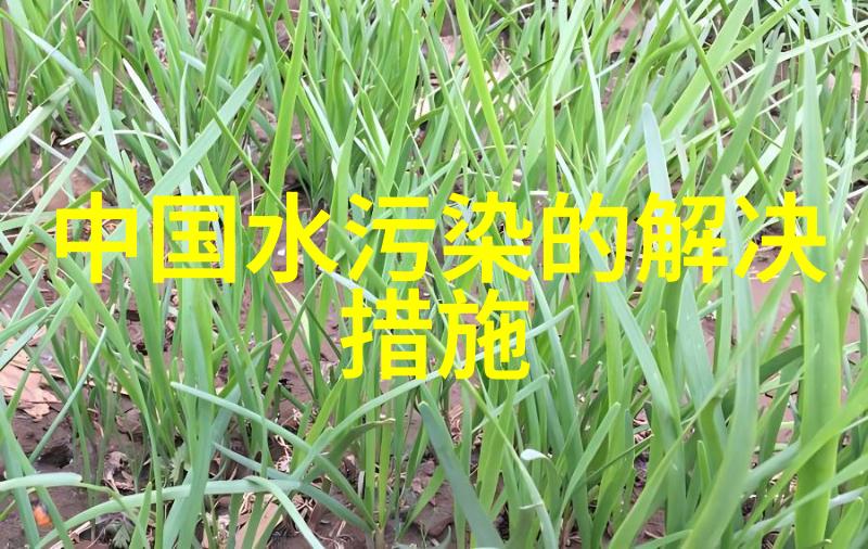 环境监测仪在日常生活中扮演着哪些关键角色