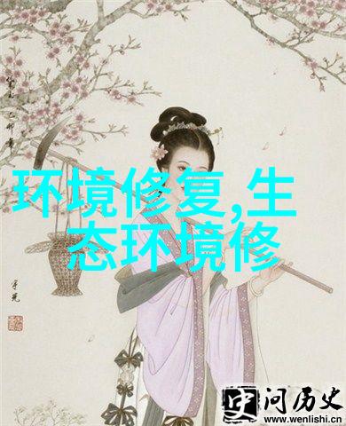 经济发展与环境保护的双向博弈机制研究环境可持续性理论与经济增长模型