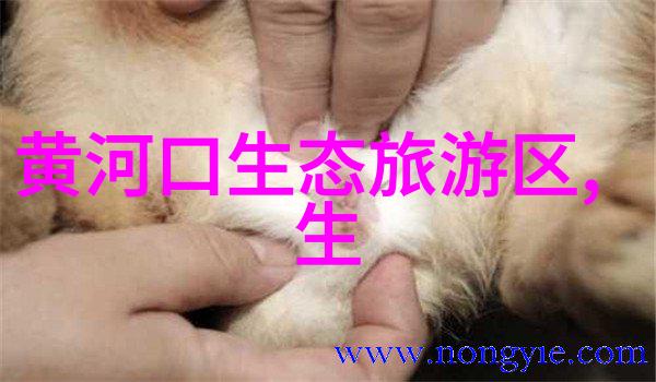石英砂过滤器的设计要素及其作用