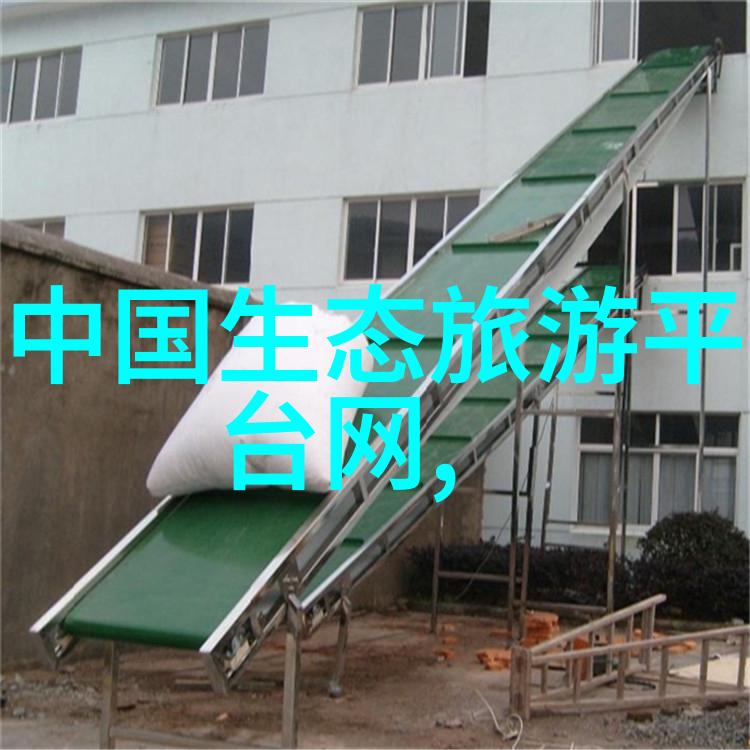 同学C的困境探索背后的原因与解决之道