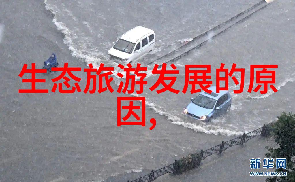 低碳环保小常识亲测我是怎么让生活更绿色