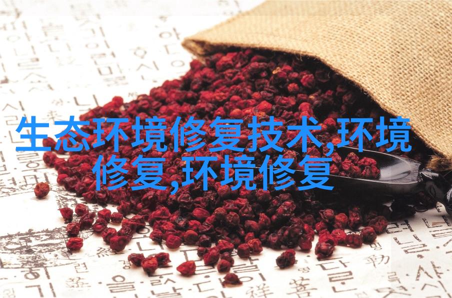 油量计