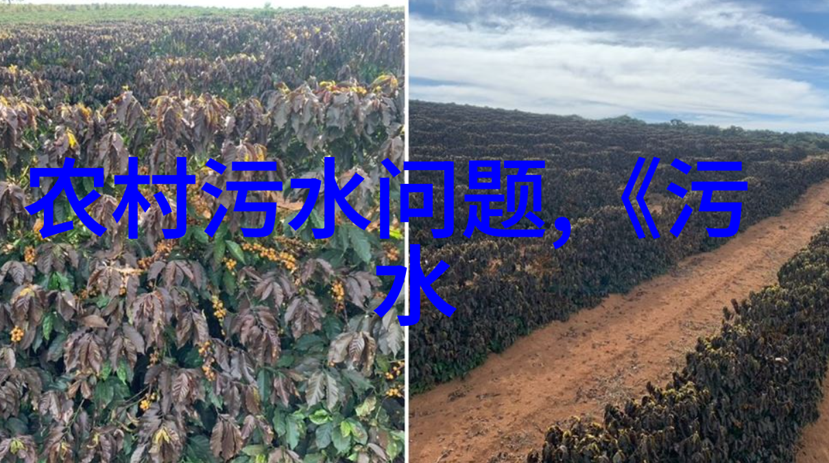 守护蓝天全球共享臭氧层保护日的重要性
