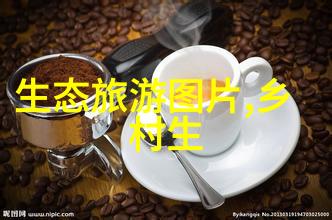 全球合作对抗毒品国际禁毒政策的未来方向是什么