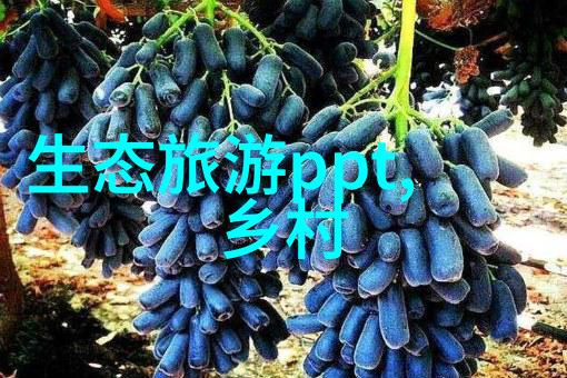 邪恶术士奥蕾莉丝魔幻世界中的黑暗女巫