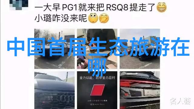 城市绿化计划让大都市也能生长出自然之花