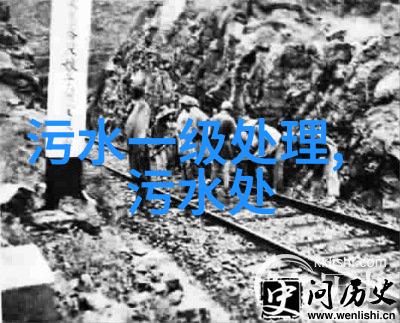 污水处理技术的新纪元揭秘三级处理流程