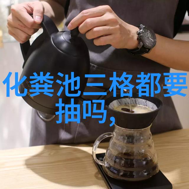 清澈水域的梦想破碎沉淀物有机质与重金属的影响