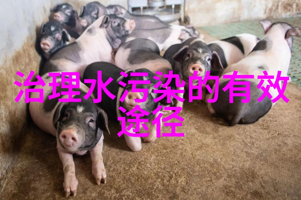 绿色的拼音-碧波荡漾探索中文里最美的绿色字