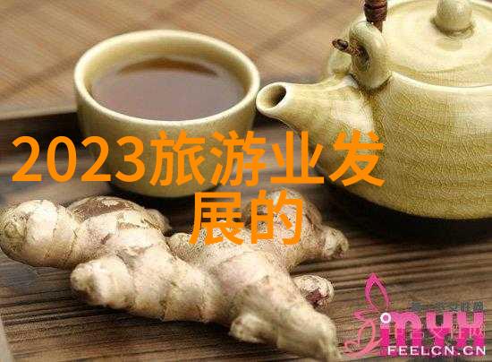 探索亲眼见证我是怎么发现这些属于新型旅游形式的