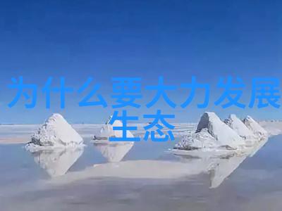 社区活动我在小区里的热闹周末社区联欢会的故事