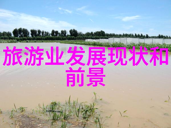 农村卫生间污水怎么处理我在家里的小区卫生间遇到难题了