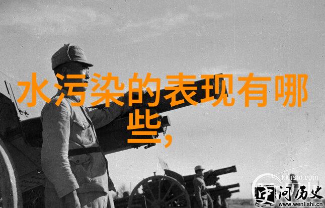 油烟净化器设备能否真正消除厨房中的污染